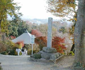 密厳流遍照講　秩父霊場巡礼の旅